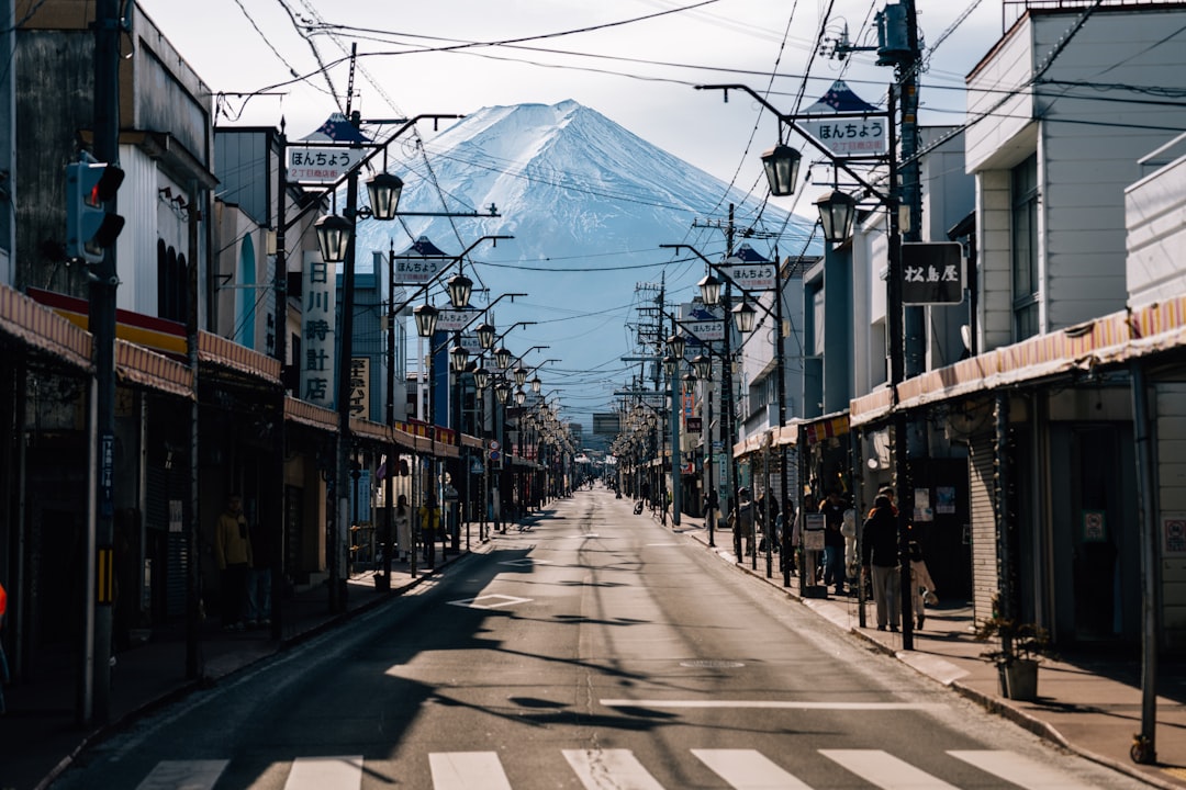 government grant small business health program financial support japan